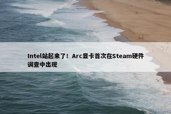 Intel站起来了！Arc显卡首次在Steam硬件调查中出现