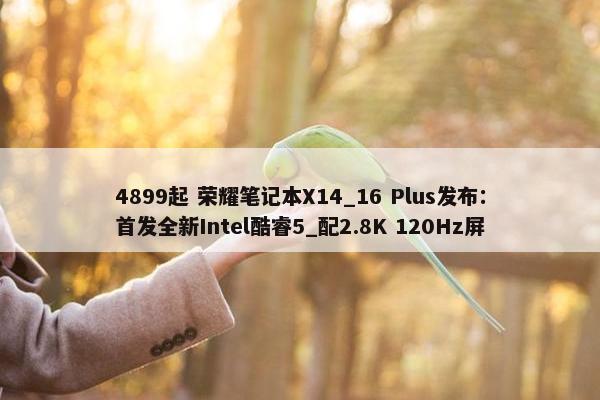 4899起 荣耀笔记本X14_16 Plus发布：首发全新Intel酷睿5_配2.8K 120Hz屏