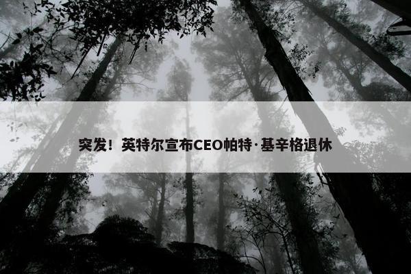 突发！英特尔宣布CEO帕特·基辛格退休