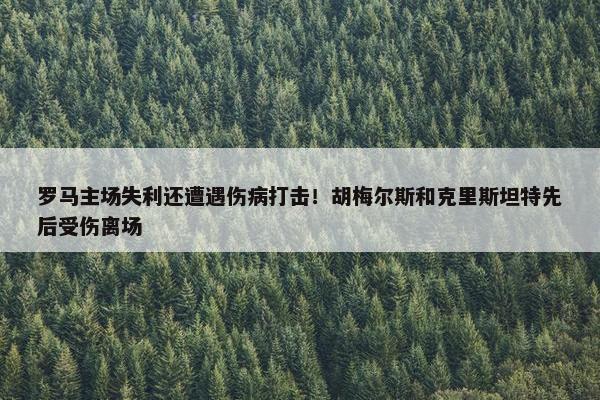 罗马主场失利还遭遇伤病打击！胡梅尔斯和克里斯坦特先后受伤离场