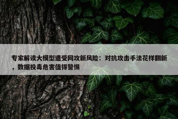 专家解读大模型遭受网攻新风险：对抗攻击手法花样翻新，数据投毒危害值得警惕