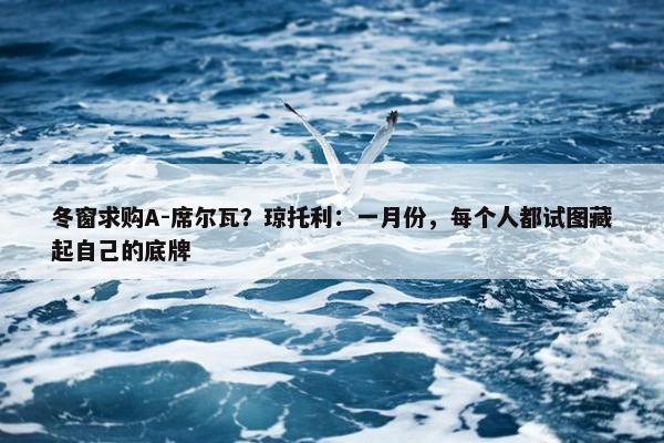 冬窗求购A-席尔瓦？琼托利：一月份，每个人都试图藏起自己的底牌