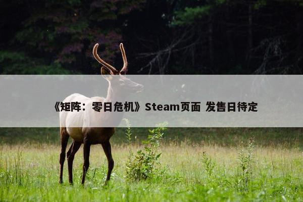 《矩阵：零日危机》Steam页面 发售日待定