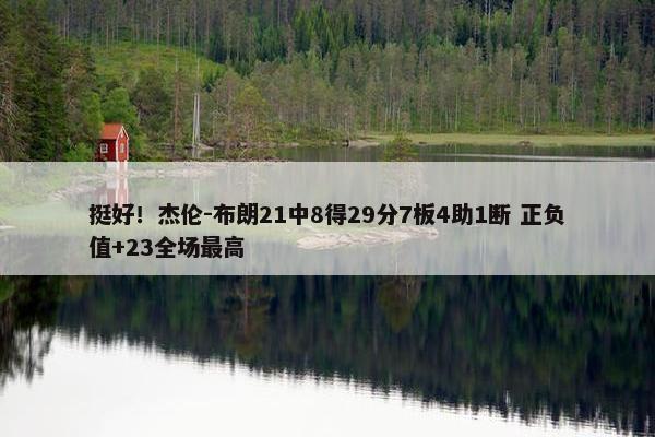 挺好！杰伦-布朗21中8得29分7板4助1断 正负值+23全场最高