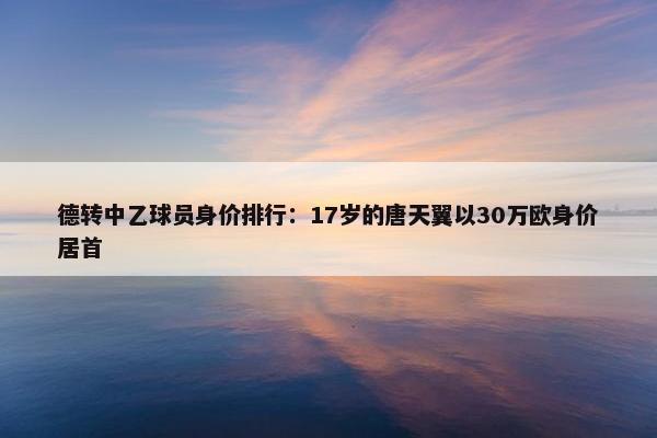 德转中乙球员身价排行：17岁的唐天翼以30万欧身价居首