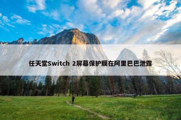 任天堂Switch 2屏幕保护膜在阿里巴巴泄露