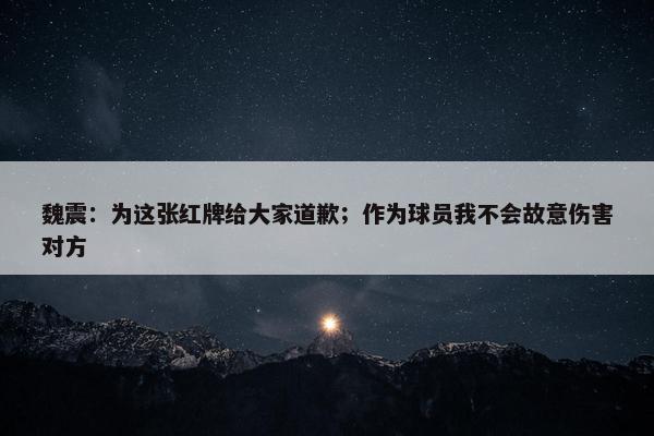 魏震：为这张红牌给大家道歉；作为球员我不会故意伤害对方