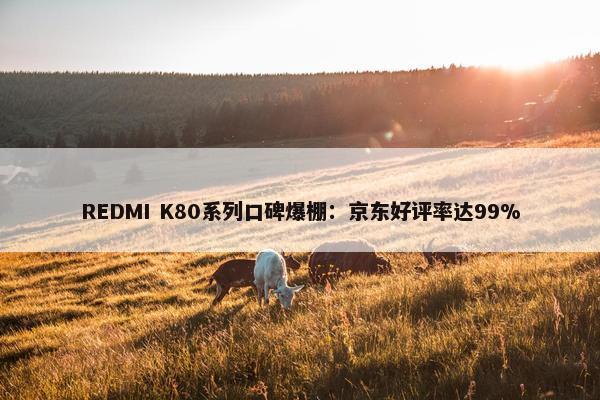 REDMI K80系列口碑爆棚：京东好评率达99%