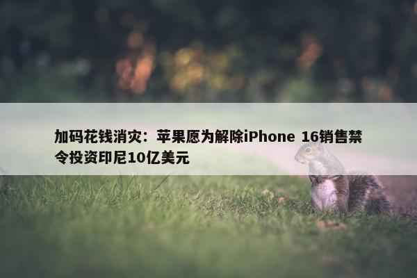 加码花钱消灾：苹果愿为解除iPhone 16销售禁令投资印尼10亿美元