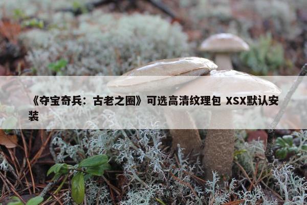 《夺宝奇兵：古老之圈》可选高清纹理包 XSX默认安装