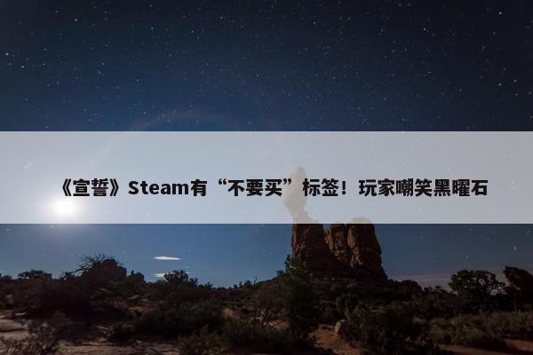 《宣誓》Steam有“不要买”标签！玩家嘲笑黑曜石