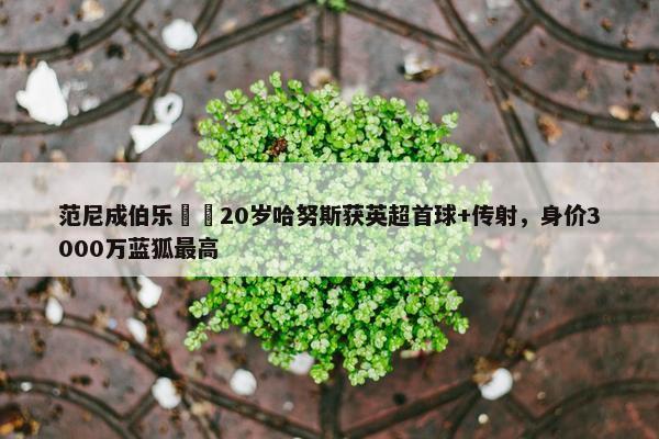 范尼成伯乐⁉️20岁哈努斯获英超首球+传射，身价3000万蓝狐最高