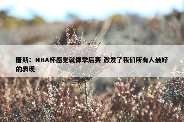 唐斯：NBA杯感觉就像季后赛 激发了我们所有人最好的表现