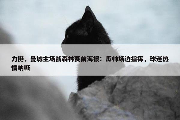 力挺，曼城主场战森林赛前海报：瓜帅场边指挥，球迷热情呐喊