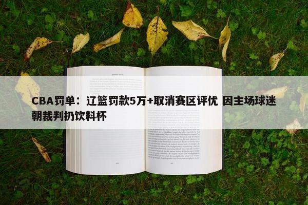 CBA罚单：辽篮罚款5万+取消赛区评优 因主场球迷朝裁判扔饮料杯