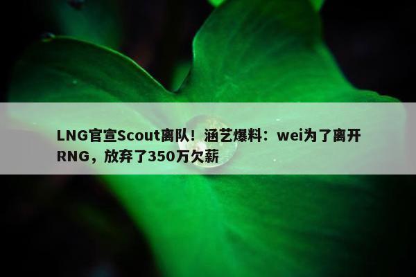 LNG官宣Scout离队！涵艺爆料：wei为了离开RNG，放弃了350万欠薪