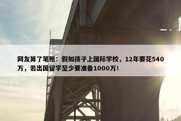 网友算了笔账：假如孩子上国际学校，12年要花540万，若出国留学至少要准备1000万！