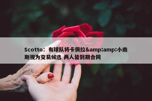 Scotto：有球队将卡佩拉&amp;小南斯视为交易候选 两人皆到期合同