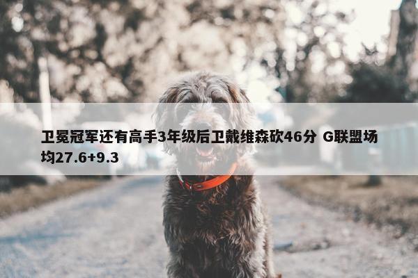 卫冕冠军还有高手3年级后卫戴维森砍46分 G联盟场均27.6+9.3