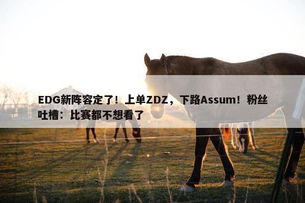 EDG新阵容定了！上单ZDZ，下路Assum！粉丝吐槽：比赛都不想看了