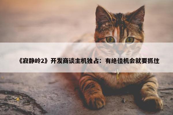 《寂静岭2》开发商谈主机独占：有绝佳机会就要抓住