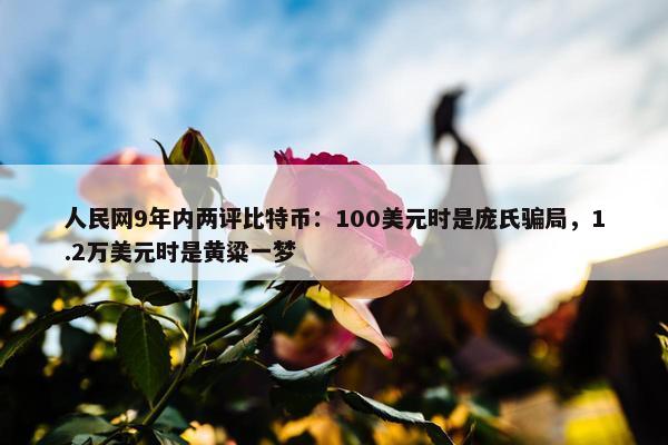 人民网9年内两评比特币：100美元时是庞氏骗局，1.2万美元时是黄粱一梦