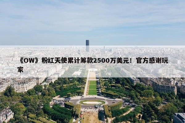 《OW》粉红天使累计筹款2500万美元！官方感谢玩家