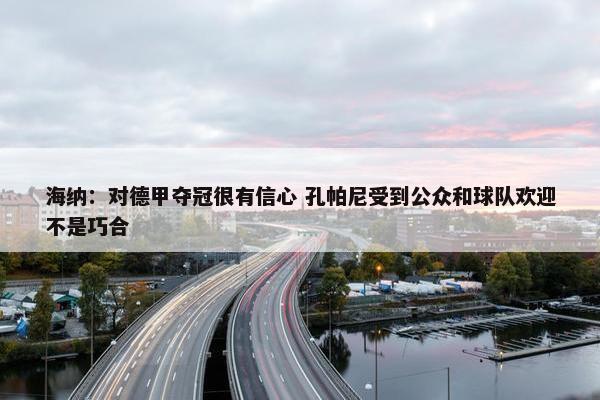 海纳：对德甲夺冠很有信心 孔帕尼受到公众和球队欢迎不是巧合