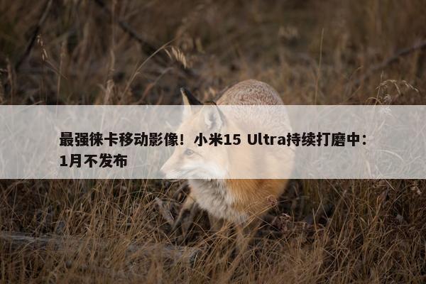 最强徕卡移动影像！小米15 Ultra持续打磨中：1月不发布