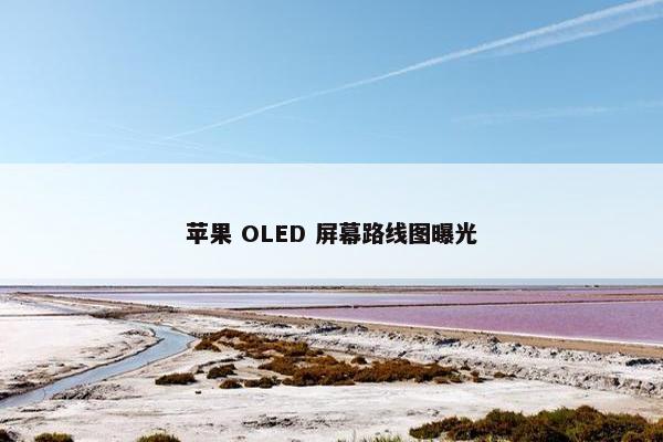 苹果 OLED 屏幕路线图曝光