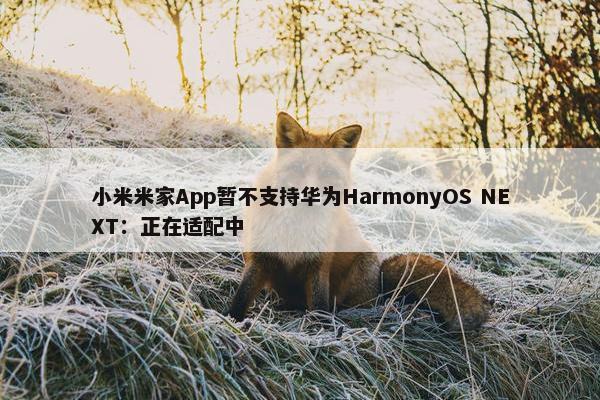 小米米家App暂不支持华为HarmonyOS NEXT：正在适配中