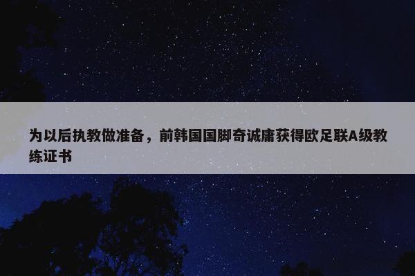 为以后执教做准备，前韩国国脚奇诚庸获得欧足联A级教练证书