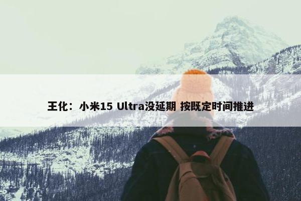 王化：小米15 Ultra没延期 按既定时间推进