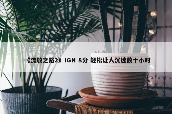 《流放之路2》IGN 8分 轻松让人沉迷数十小时