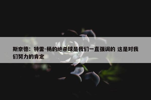 斯奈德：特雷-杨的绝杀球是我们一直强调的 这是对我们努力的肯定