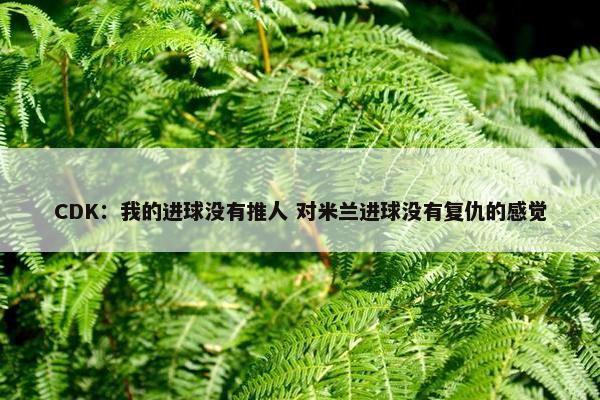 CDK：我的进球没有推人 对米兰进球没有复仇的感觉