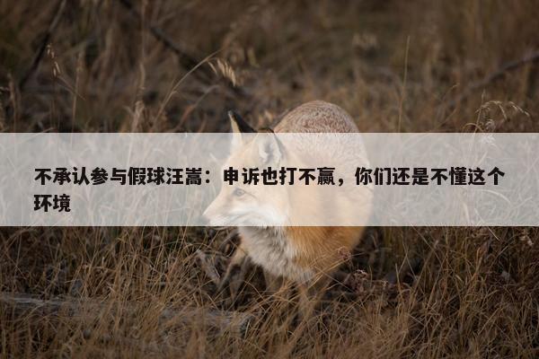 不承认参与假球汪嵩：申诉也打不赢，你们还是不懂这个环境