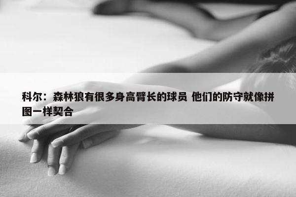 科尔：森林狼有很多身高臂长的球员 他们的防守就像拼图一样契合