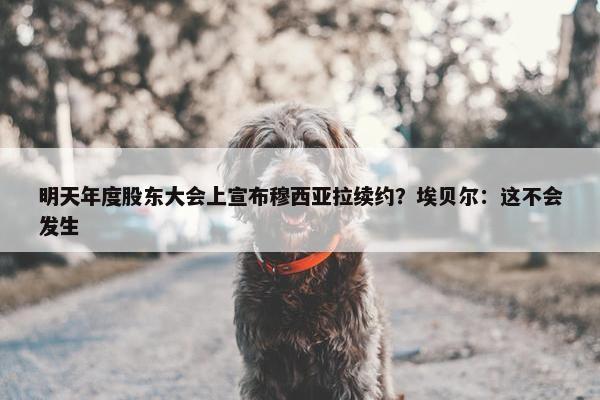 明天年度股东大会上宣布穆西亚拉续约？埃贝尔：这不会发生