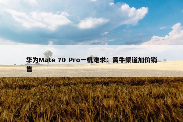 华为Mate 70 Pro一机难求：黄牛渠道加价销售