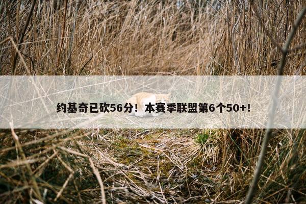 约基奇已砍56分！本赛季联盟第6个50+！