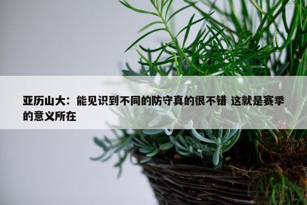 亚历山大：能见识到不同的防守真的很不错 这就是赛季的意义所在