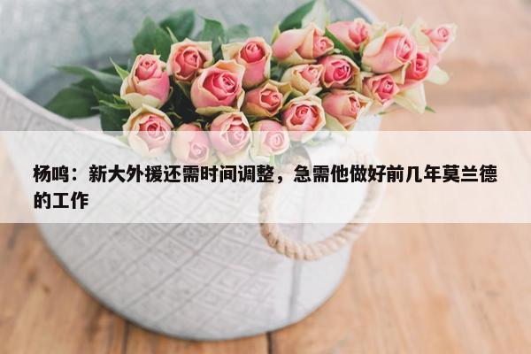 杨鸣：新大外援还需时间调整，急需他做好前几年莫兰德的工作