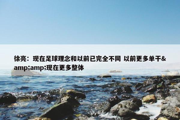 徐亮：现在足球理念和以前已完全不同 以前更多单干&amp;现在更多整体