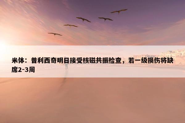 米体：普利西奇明日接受核磁共振检查，若一级损伤将缺席2-3周