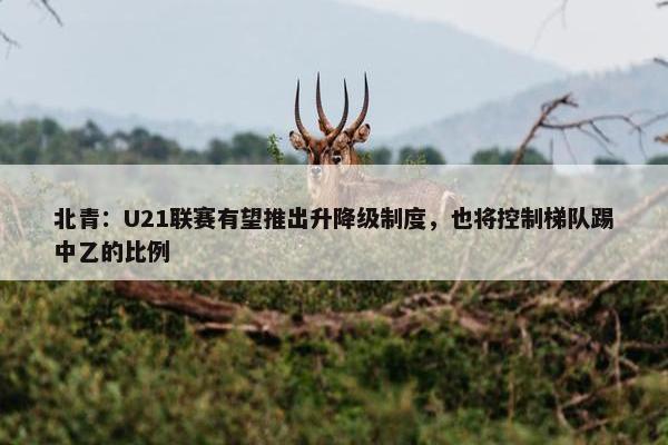 北青：U21联赛有望推出升降级制度，也将控制梯队踢中乙的比例