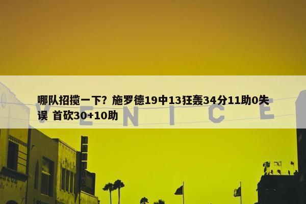 哪队招揽一下？施罗德19中13狂轰34分11助0失误 首砍30+10助