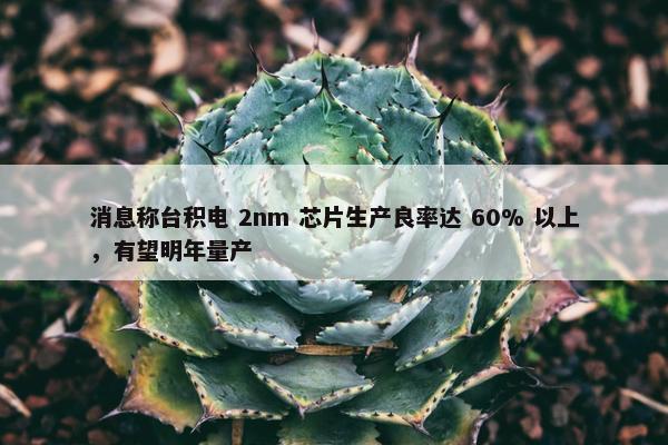 消息称台积电 2nm 芯片生产良率达 60% 以上，有望明年量产