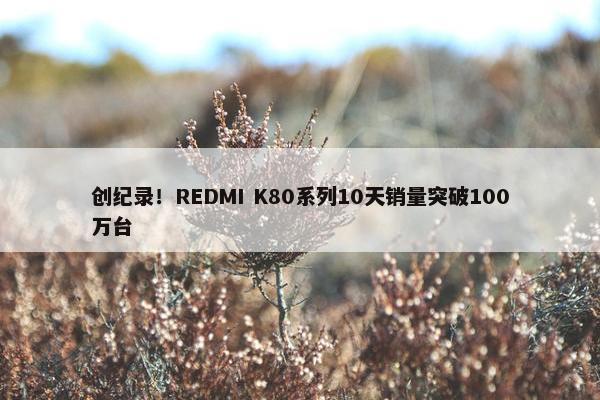 创纪录！REDMI K80系列10天销量突破100万台