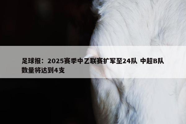 足球报：2025赛季中乙联赛扩军至24队 中超B队数量将达到4支